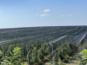 Ключовете на 100 автомобила, закупени по Програма „Околна среда“, бяха връчени на Главна дирекция „Пожарна безопасност и защита на населението“