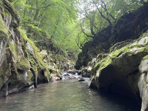 Симпозиум за новия петгодишен план на континента, проведен в Тайпе