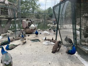 Министерство на земеделието и храните