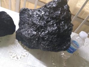 Проучването проправя пътя за отглеждане на многогодишен ориз