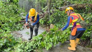 Президент на Република България