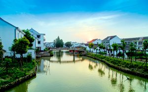 Изпълнителна агенция по горите | Новини