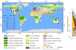 Китайската офшорна петролна компания отчита рекордни нива на производство