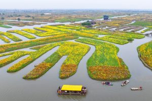 Докато глобалният пейзаж се променя, е време Азия да блесне, казват учените