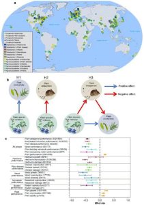 Специализирана техника: от Кърджали, област Кърджали Втора ръка и нови с ТОП цени онлайн от цяла България — Bazar.bg