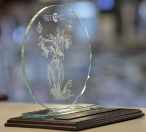 Идеи за обновяване на хижите в Рила ще се състезават в тазгодишния конкурс „Мими Праматарова“